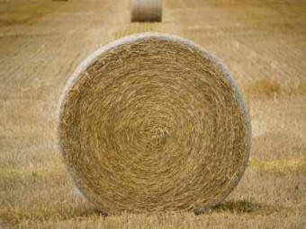 Round Hay Bales