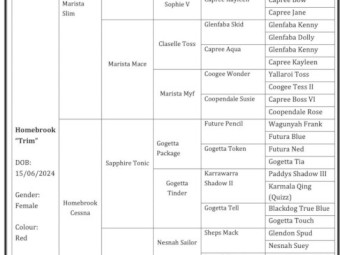 Homebrook Trim - Started WKC kelpie 