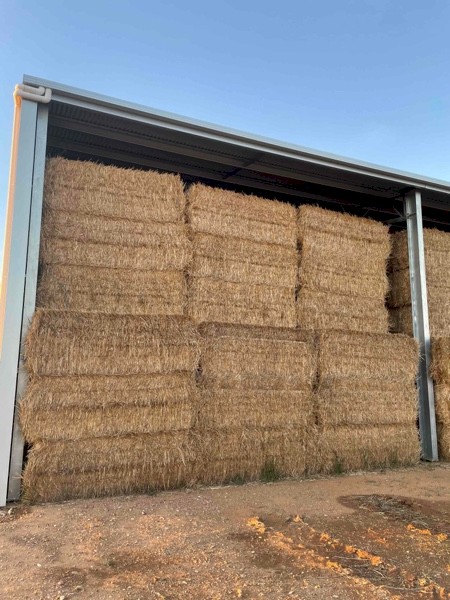 Wheaten Straw 8x4x3 Bales