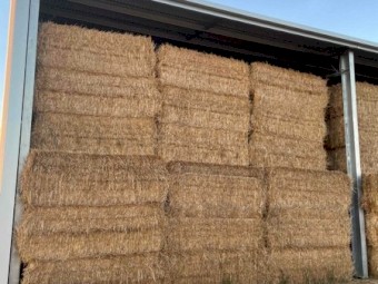 Wheaten Straw 8x4x3 Bales