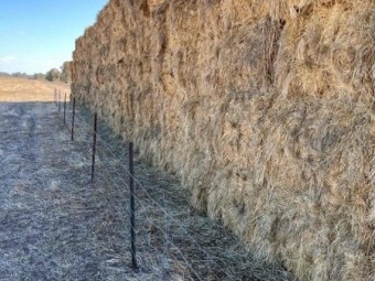 Ryegrass Hay 8x4x3 Bales
