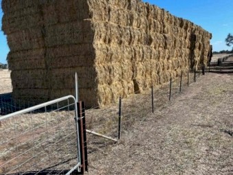 Ryegrass Hay 8x4x3 Bales